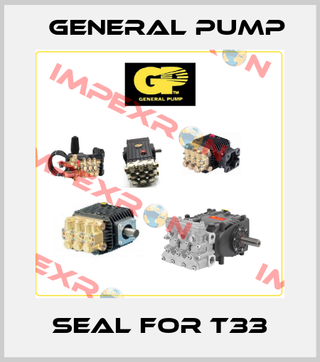 Seal For T33 General Pump
