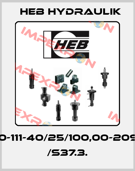 Z250-111-40/25/100,00-209/B1.1 /S37.3. HEB Hydraulik