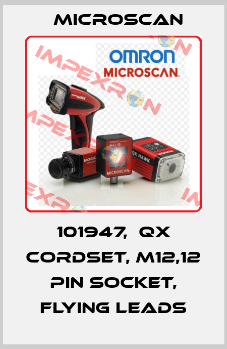 101947,  QX Cordset, M12,12 pin Socket, Flying leads Microscan