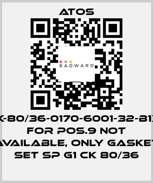 CK-80/36-0170-6001-32-B1X1 for Pos.9 not available, only gasket set SP G1 CK 80/36 Atos