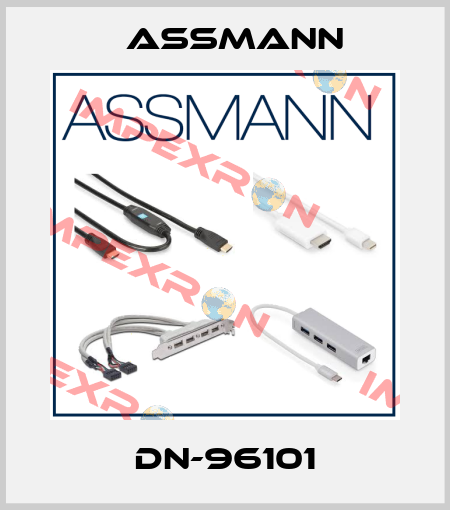 DN-96101 Assmann
