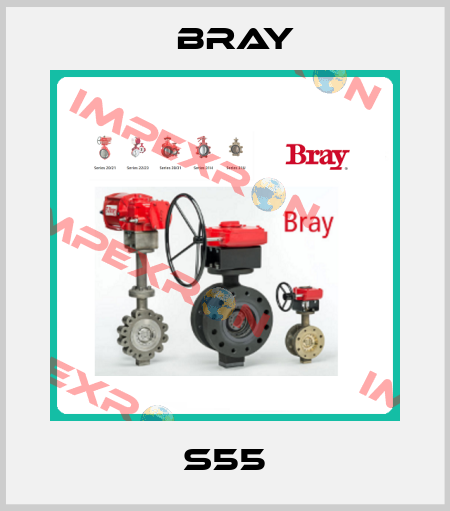 S55 Bray