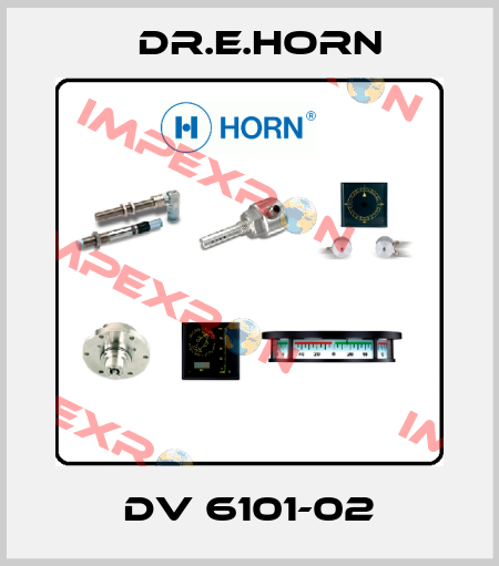 DV 6101-02 Dr.E.Horn