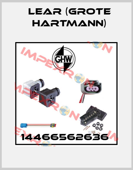 14466562636  Grote Hartmann