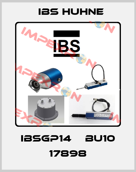IBSGP14    BU10 17898 IBS HUHNE