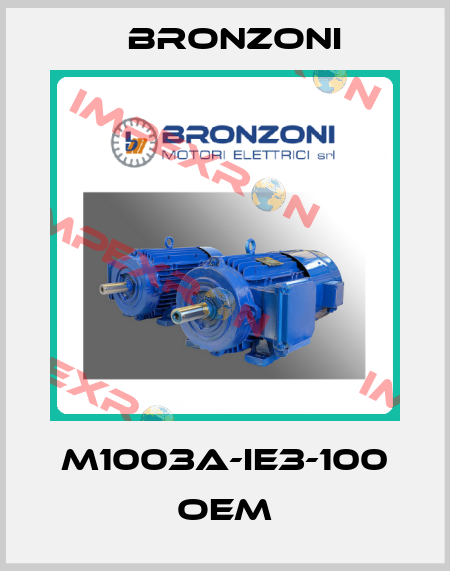M1003A-IE3-100 OEM Bronzoni