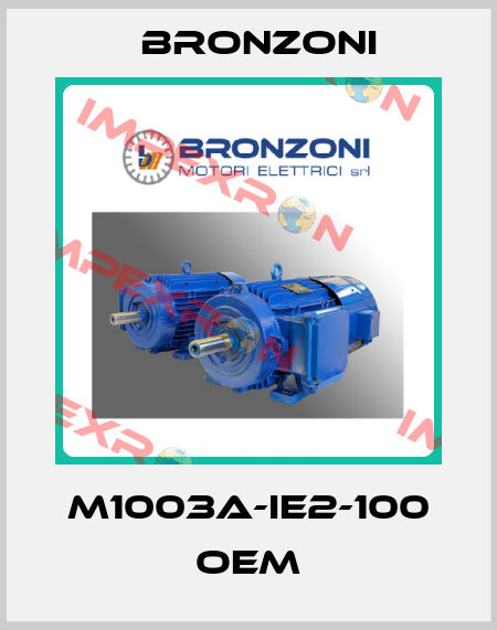 M1003A-IE2-100 OEM Bronzoni