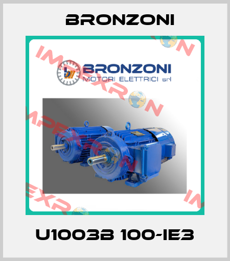 U1003B 100-IE3 Bronzoni