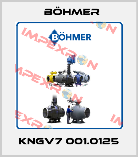 KNGV7 001.0125 Böhmer