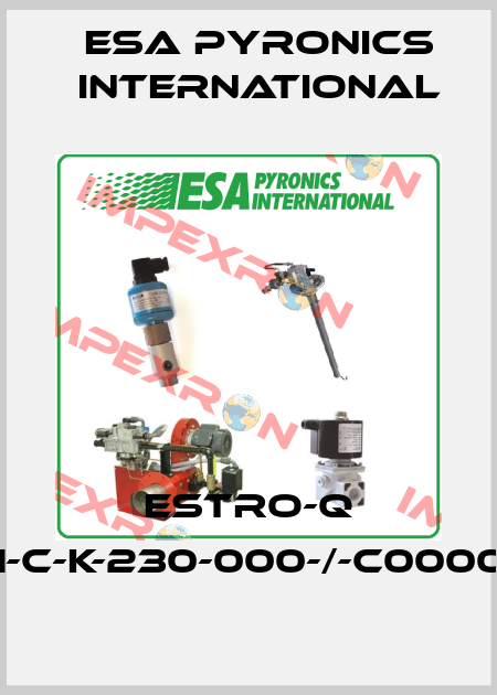 Estro-Q A-001-07-01-C-K-230-000-/-C000000///10004 ESA Pyronics International