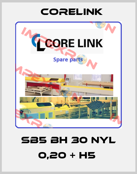 SB5 BH 30 NYL 0,20 + H5  CoreLink