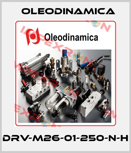 DRV-M26-01-250-N-H OLEODINAMICA