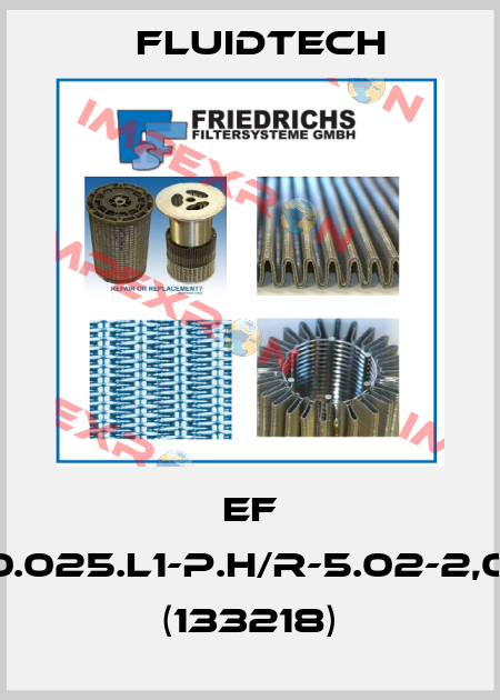 EF 4.121-B20.025.L1-P.H/R-5.02-2,0-f2.2,0-1 (133218) Fluidtech