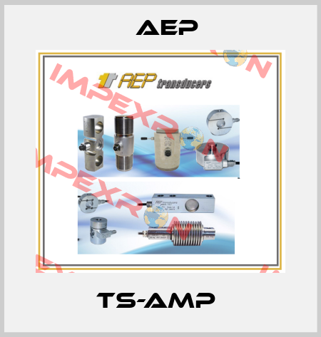 TS-AMP  AEP