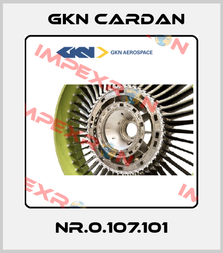 NR.0.107.101 Gkn Cardan
