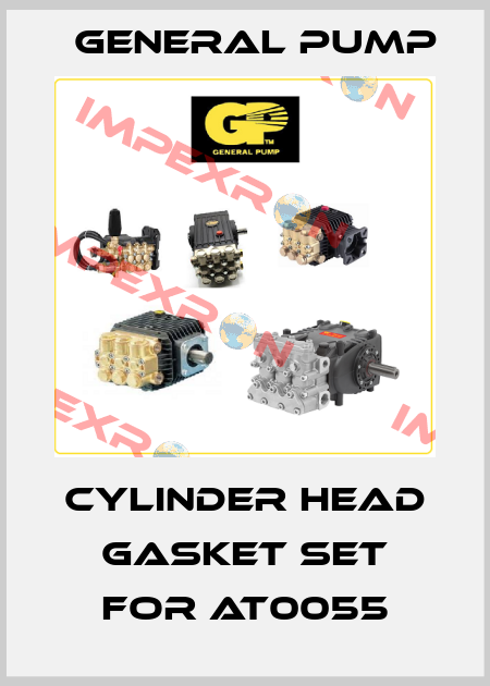 Cylinder head gasket set for AT0055 General Pump