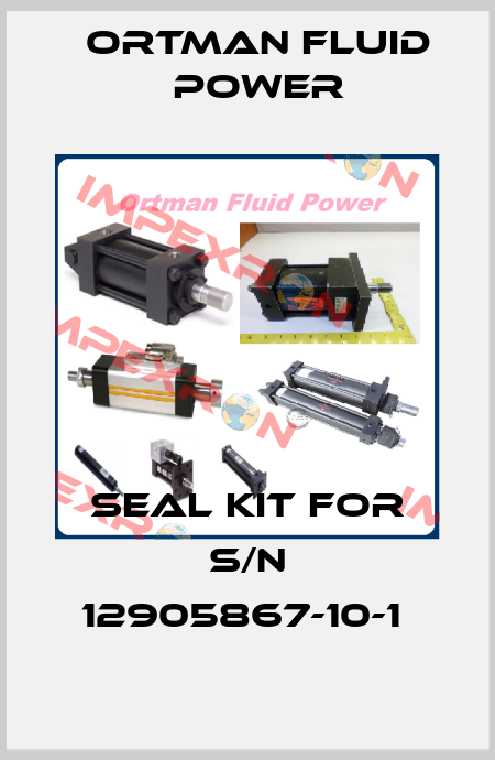 SEAL KIT FOR S/N 12905867-10-1  Ortman Fluid Power