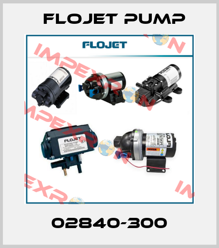02840-300 Flojet Pump