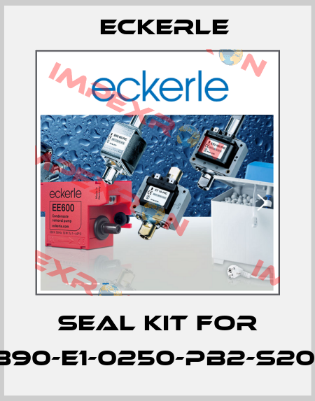 Seal Kit for 890-E1-0250-PB2-S201 Eckerle