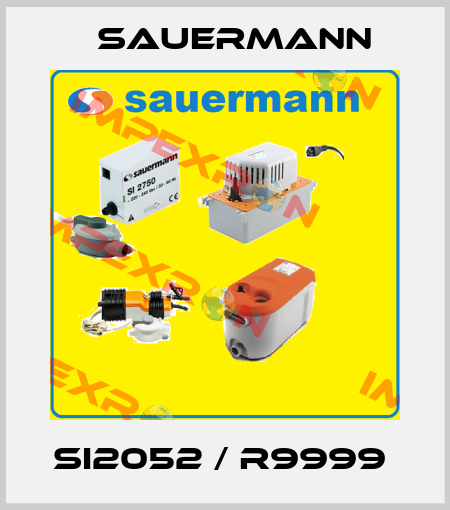 SI2052 / R9999  Sauermann