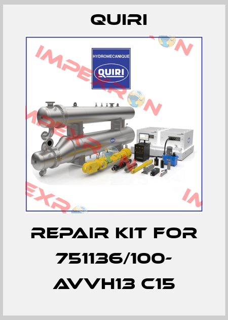 repair kit for 751136/100- AVVH13 C15 Quiri