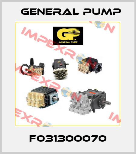 F031300070 General Pump