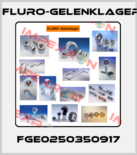 FGE0250350917 FLURO-Gelenklager