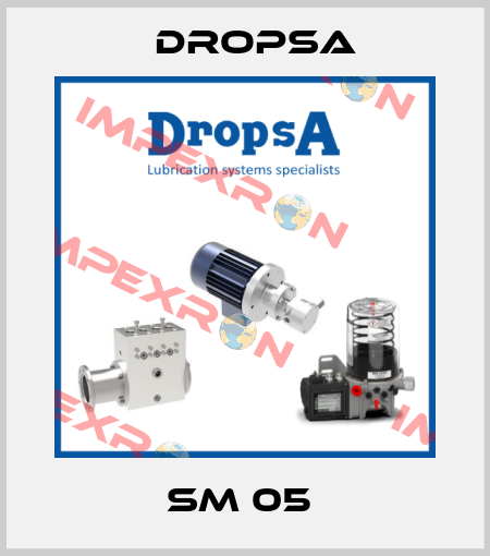 SM 05  Dropsa