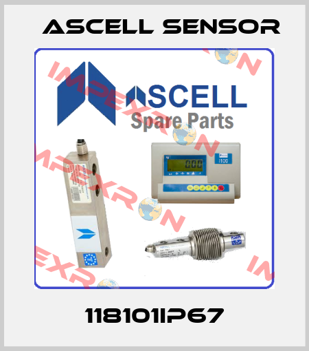 118101IP67 Ascell Sensor
