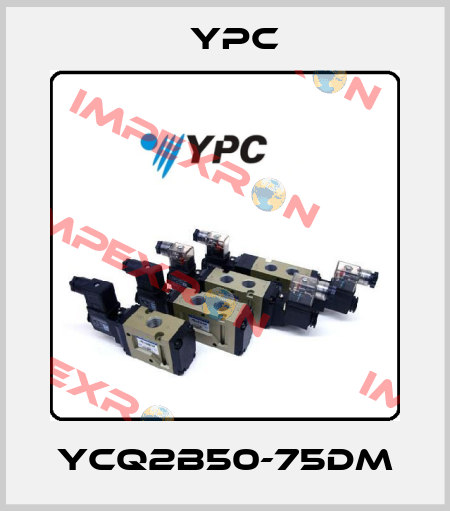 YCQ2B50-75DM YPC