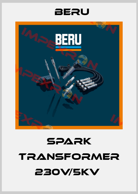 SPARK TRANSFORMER 230V/5KV  Beru