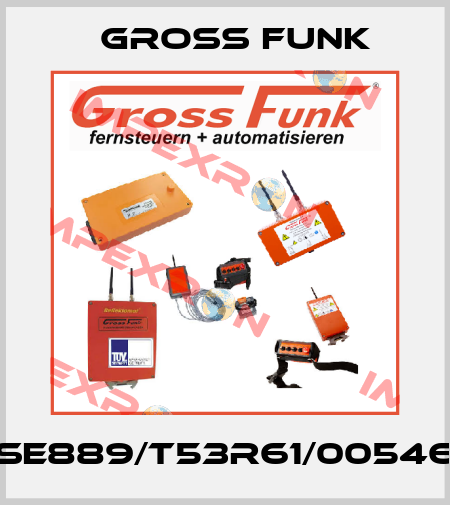 SE889/T53R61/00546 Gross Funk