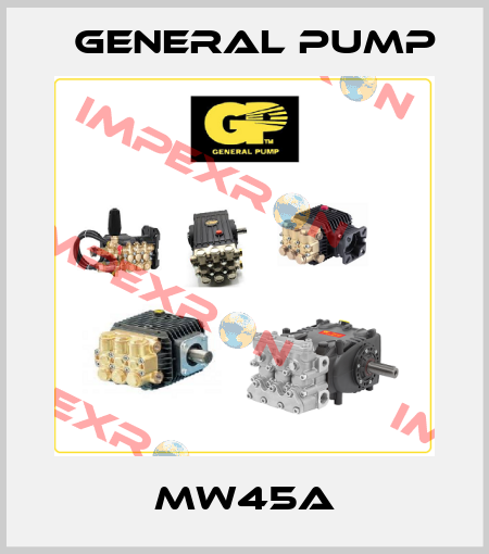 MW45A General Pump