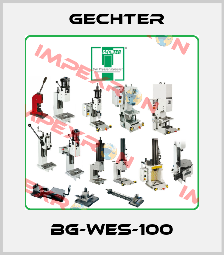 BG-WES-100 Gechter
