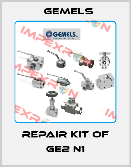  repair kit of GE2 N1 Gemels