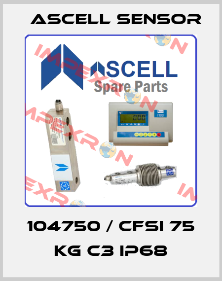 104750 / CFSI 75 kg C3 IP68 Ascell Sensor