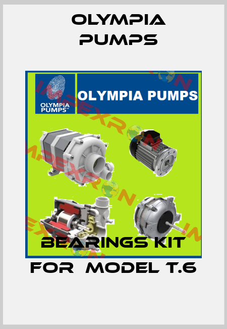 bearings kit for  Model T.6 OLYMPIA PUMPS