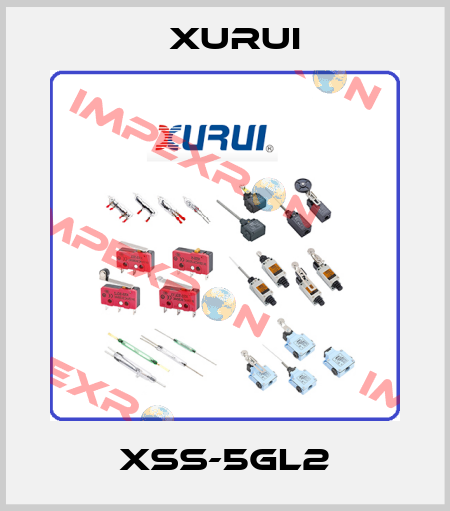 XSS-5GL2 Xurui