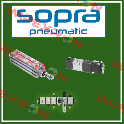 Seals for N200S0014 ( IDG200) Sopra-Pneumatic