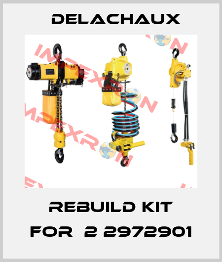 rebuild kit for  2 2972901 Delachaux