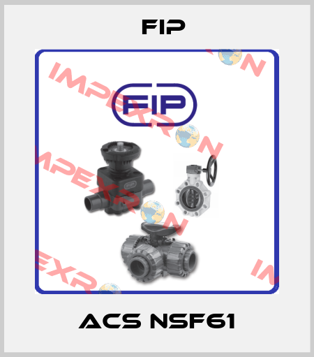 ACS NSF61 Fip