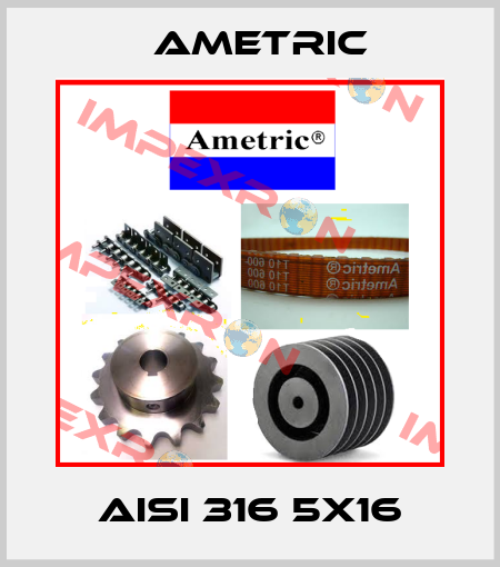 AISI 316 5X16 Ametric