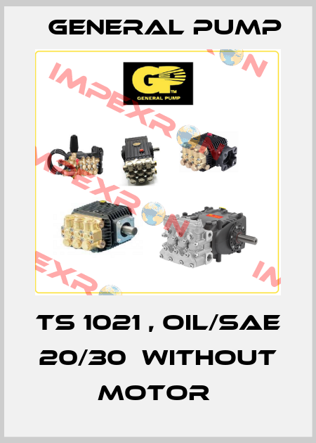 TS 1021 , OIL/SAE 20/30  WITHOUT MOTOR  General Pump