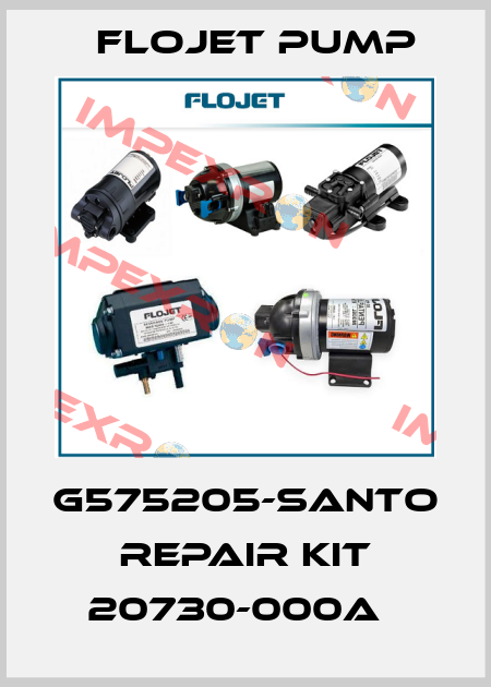 G575205-SANTO Repair kit 20730-000A　 Flojet Pump