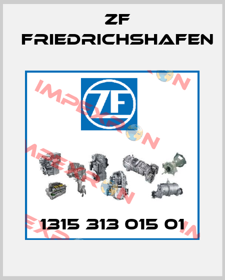 1315 313 015 01 ZF Friedrichshafen