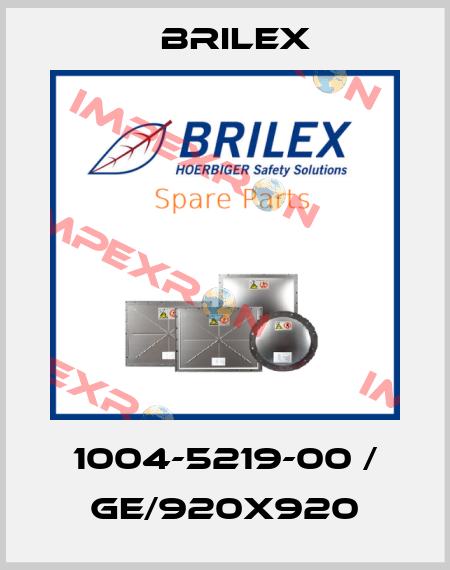 1004-5219-00 / GE/920X920 Brilex