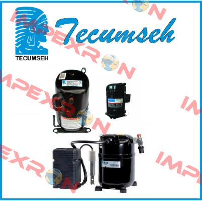 TYPE: 30KFB4004  NO: 5302471  Tecumseh