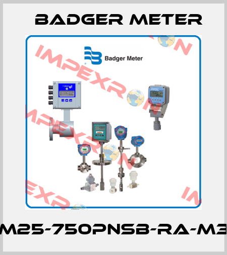 M25-750PNSB-RA-M3 Badger Meter