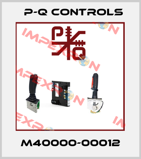 M40000-00012 P-Q Controls
