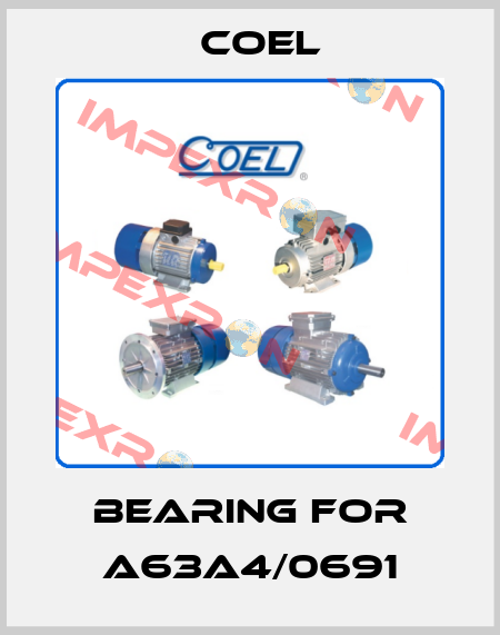 bearing for A63A4/0691 Coel